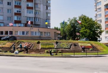 У Тернополі облаштували квітники в кольорах прапорів ЄС, США, Польщі та Великобританії