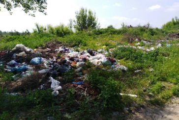 На Тернопільщині комунальне підприємство завдало шкоди екології на 1,1 млн грн