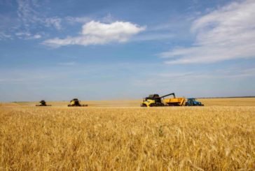На Тернопільщині вже зібрали понад 1,5 млн тонн зерна