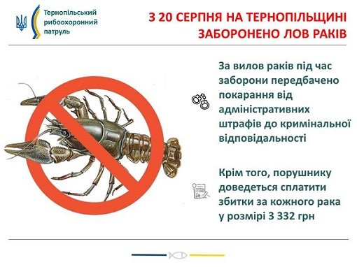 На Тернопільщині з 20 серпня заборонено ловити раків