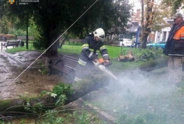Негода на Тернопільщині валила дерева та підтоплювала будинки