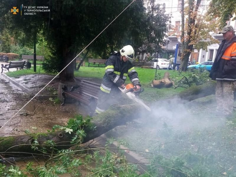 Негода на Тернопільщині валила дерева та підтоплювала будинки