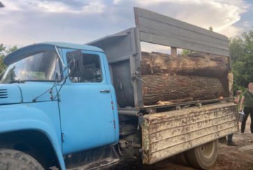 На Тернопільщині лісники та підприємці незаконно нарубали деревини на понад 1 млн грн