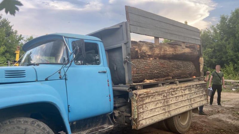 На Тернопільщині лісники та підприємці незаконно нарубали деревини на понад 1 млн грн