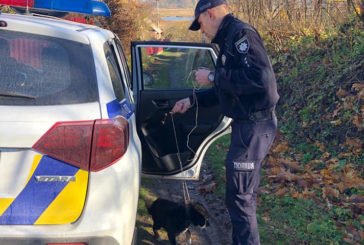 На Тернопільщині поліцейські знайшли нових господарів для собаки Топіка
