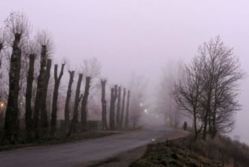 На Тернопільщині попереджають про тумани та ожеледь