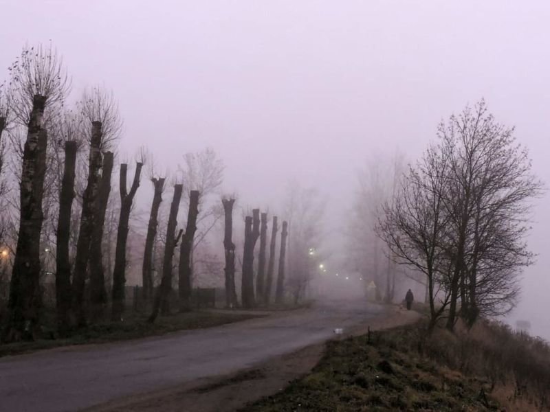 На Тернопільщині попереджають про тумани та ожеледь
