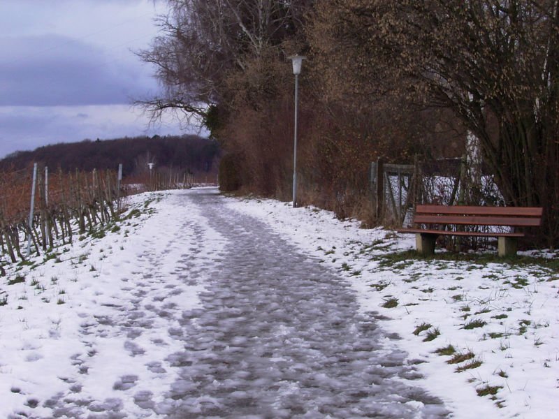 На Тернопільщині сніжиме, на дорогах – ожеледиця