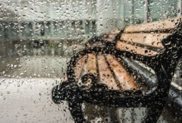 На Тернопільщині плюсова температура і дощ