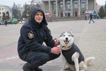Хаскі Хан - антистрес та вірний помічник поліцейського з Тернополя (фото)