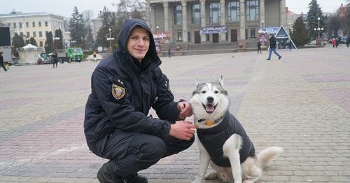 Хаскі Хан – антистрес та вірний помічник поліцейського з Тернополя (фото)