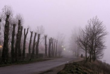 Хмарно, туманно, слизько: суботня погода на Тернопільщині