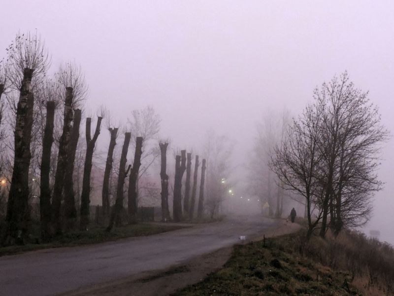 Хмарно, туманно, слизько: суботня погода на Тернопільщині