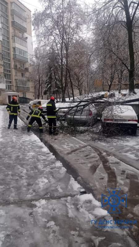 Негода в Тернополі: дерево впало на автомобіль