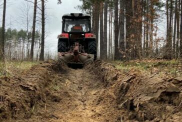 На Тернопільщині захищають ліси від пожеж з допомогою незвичайних смуг