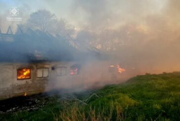 Біля Тернополя гасять масштабну пожежу: горять тюки сіна (ФОТО)