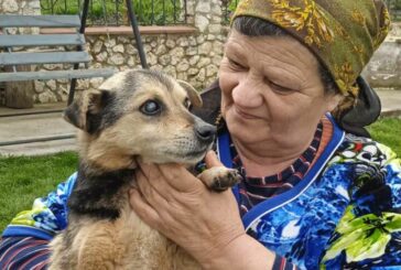 Неймовірна історія сліпого пса Барса з Тернопільщини, який півтора місяця блукав і повернувся до господарів