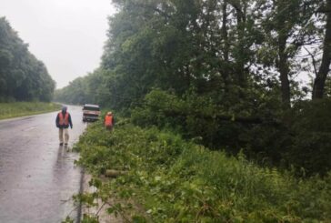 На Тернопільщині ліквідовують наслідки негоди: через опади та вітер на дороги падали дерева
