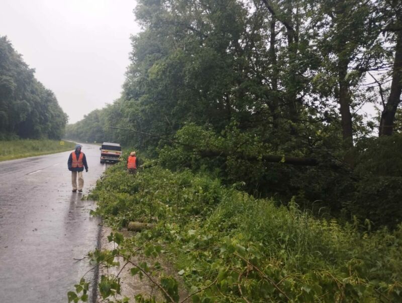 На Тернопільщині ліквідовують наслідки негоди: через опади та вітер на дороги падали дерева