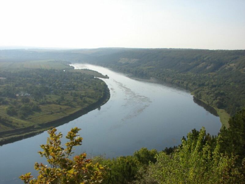 На одній з річок Тернопільщини підвищився рівень води