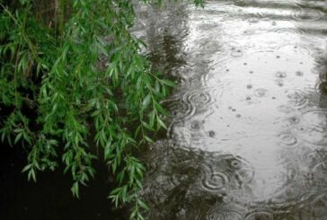 Сильні дощі спричинять підйом води у річці Дністер на Тернопільщині