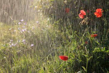Візьміть парасольку: в неділю на Тернопільщині можливий дощ та грози