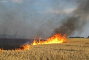 Тернопільщина: поліцейські встановлюють, чому згоріло три гектари  пшениці