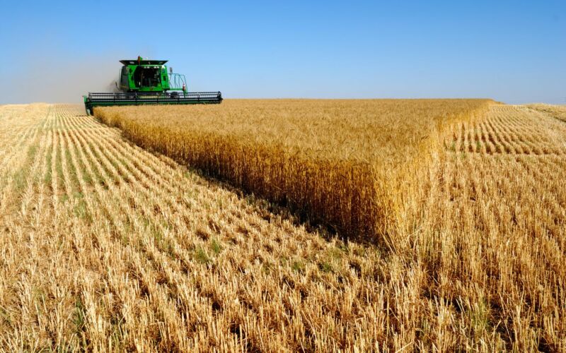 На Тернопільщині вже зібрали 1,6 мільйона тонн зерна