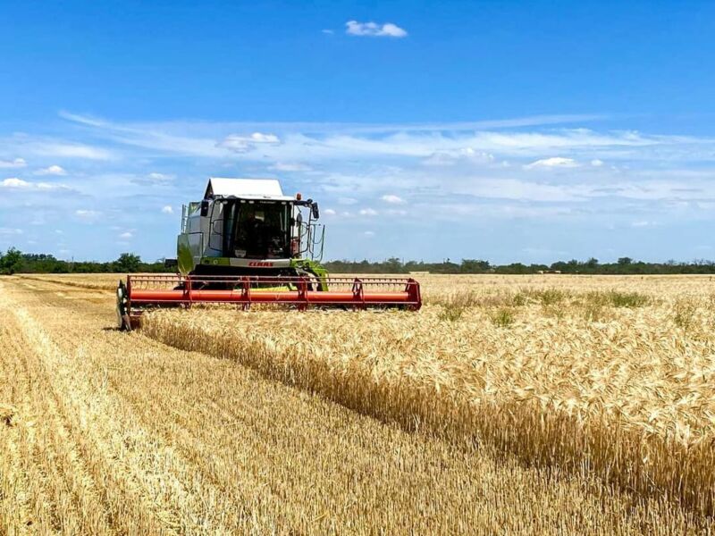На Тернопільщині вже намолотили пів мільйона тонн зерна