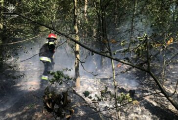 На Тернопільщині під час пожежі в лісі загинула пенсіонерка