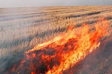 На Тернопільщині через підпал стерні могли згоріти два гектари гречки