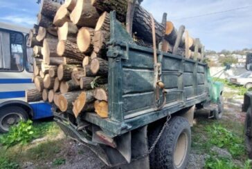 На Тернопільщині викрили водія, який перевозив деревину з сумнівними документами