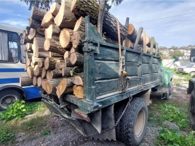 На Тернопільщині викрили водія, який перевозив деревину з сумнівними документами