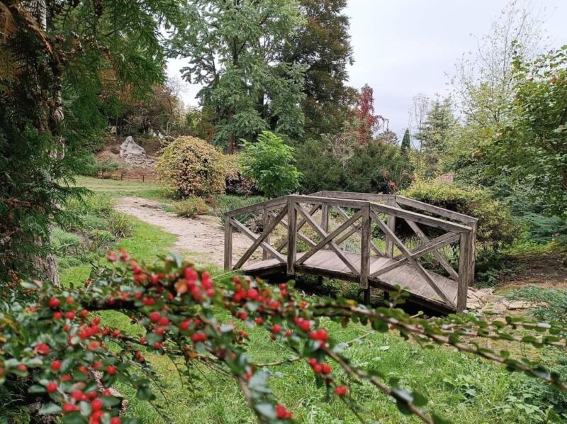 Ботанічний сад у Кременці буяє осінніми барвами (ФОТО)