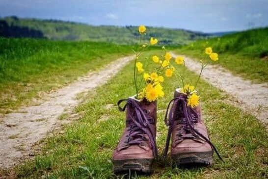 Букет сонячних квіток у зношених черевиках