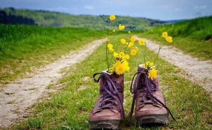 Букет сонячних квіток у зношених черевиках