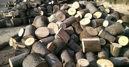 Стартував сезон шахрайства із дровами: попалася жителька Тернопільщини