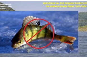 Із 1 листопада на Тернопільщині рибалкам заборонили вилов риби на зимувальних ямах