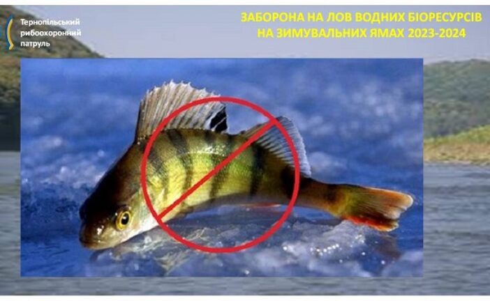 Із 1 листопада на Тернопільщині рибалкам заборонили вилов риби на зимувальних ямах