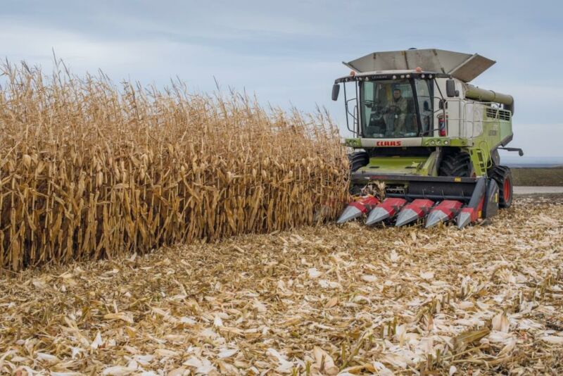 Аграрії Тернопільщини зібрали 1,7 млн тонн зерна