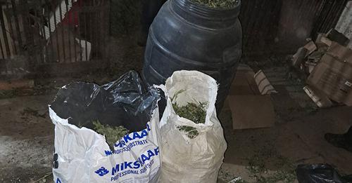 В уродженця Херсонщини тернопільські поліцейські вилучили наркотиків на 5 млн гривень