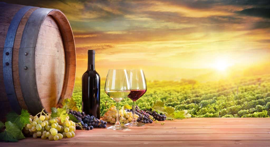 12 листопада: в Україні – День виноградарів, виноробів та садівників, Всесвітній день боротьби з пневмонією