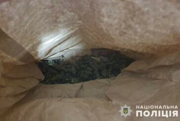 На Тернопільщині в домашнього тирана знайшли наркотики