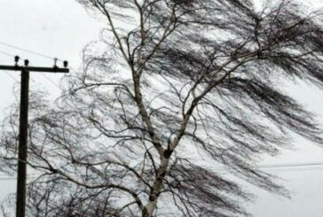 Сильний вітер «вимкнув» електрику на Тернопільщині