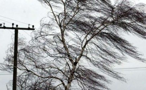 Сильний вітер «вимкнув» електрику на Тернопільщині