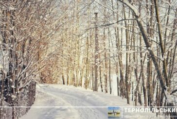 На Тернопільщині сьогодні - морозно та слизько
