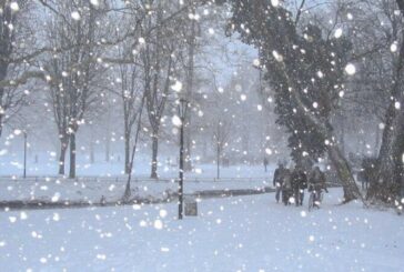 На Тернопільщині сьогодні - сніг, дощ, туман, ожеледиця