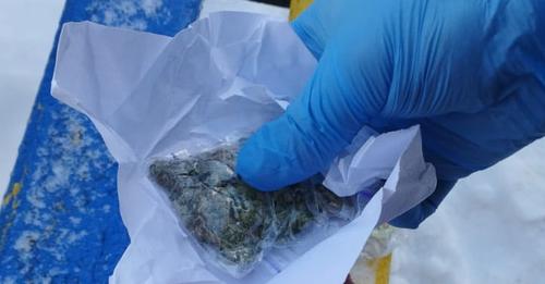 Два факти незаконного зберігання наркотиків задокументували поліцейські на Тернопільщині