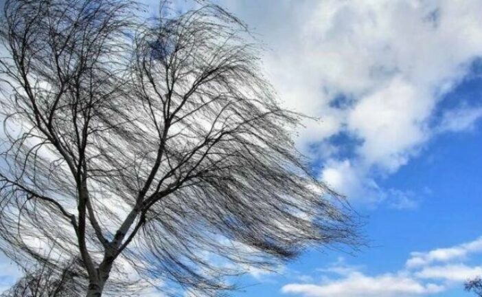 На Тернопільщині через сильний вітер 39 населених пунктах мали перебої в електропостачанні