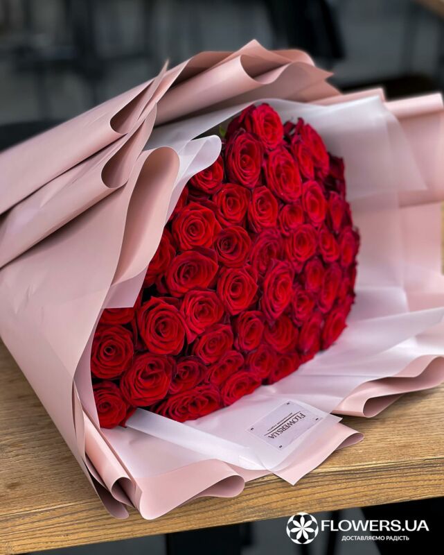 311481168_8172060612836126_6936140064969412556_n